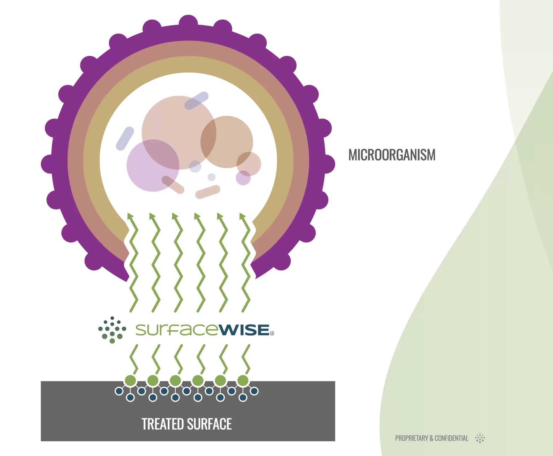 Dự án Prevent Covid-19 in Vietnam