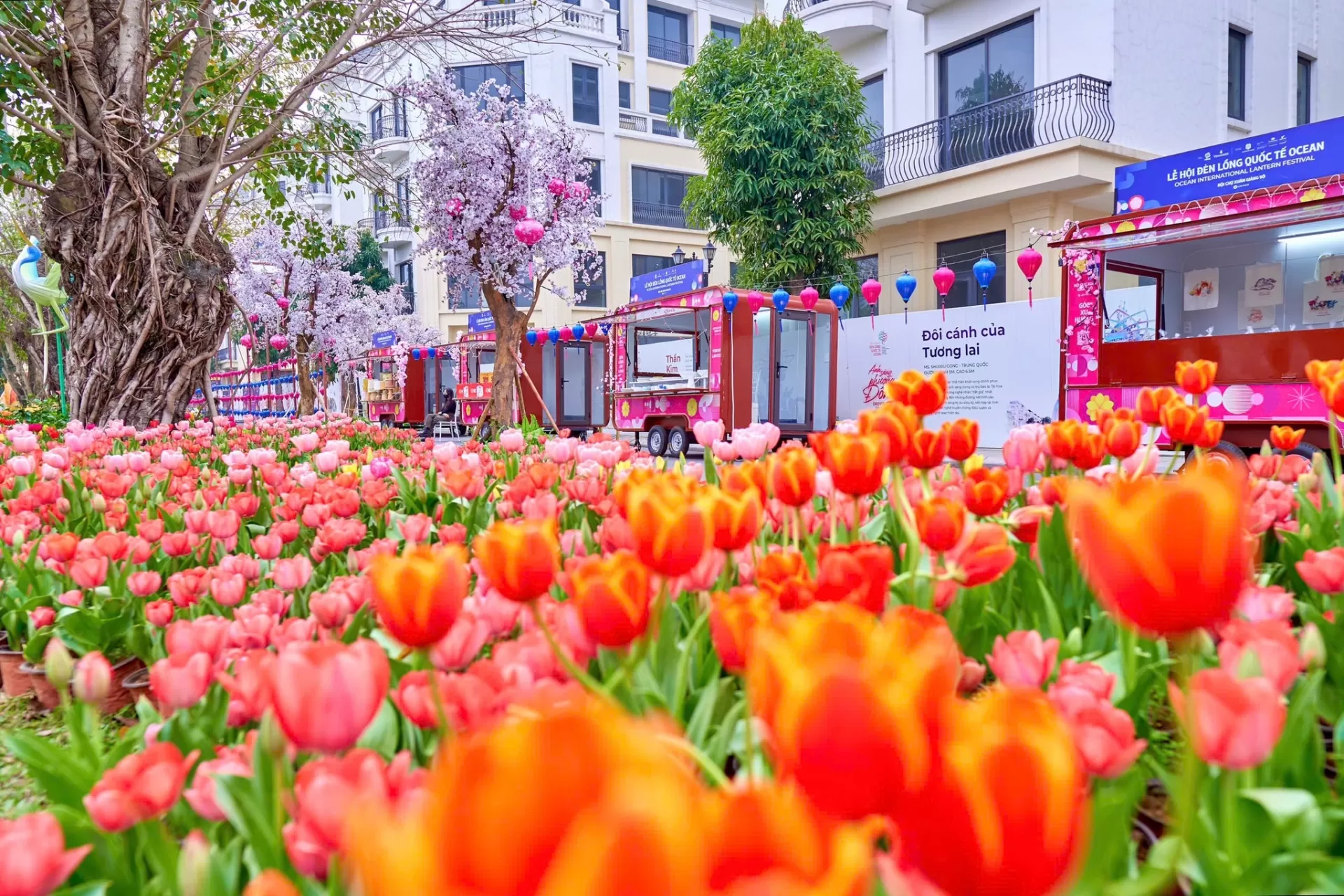 Hội chợ Xuân Giảng Võ 2025