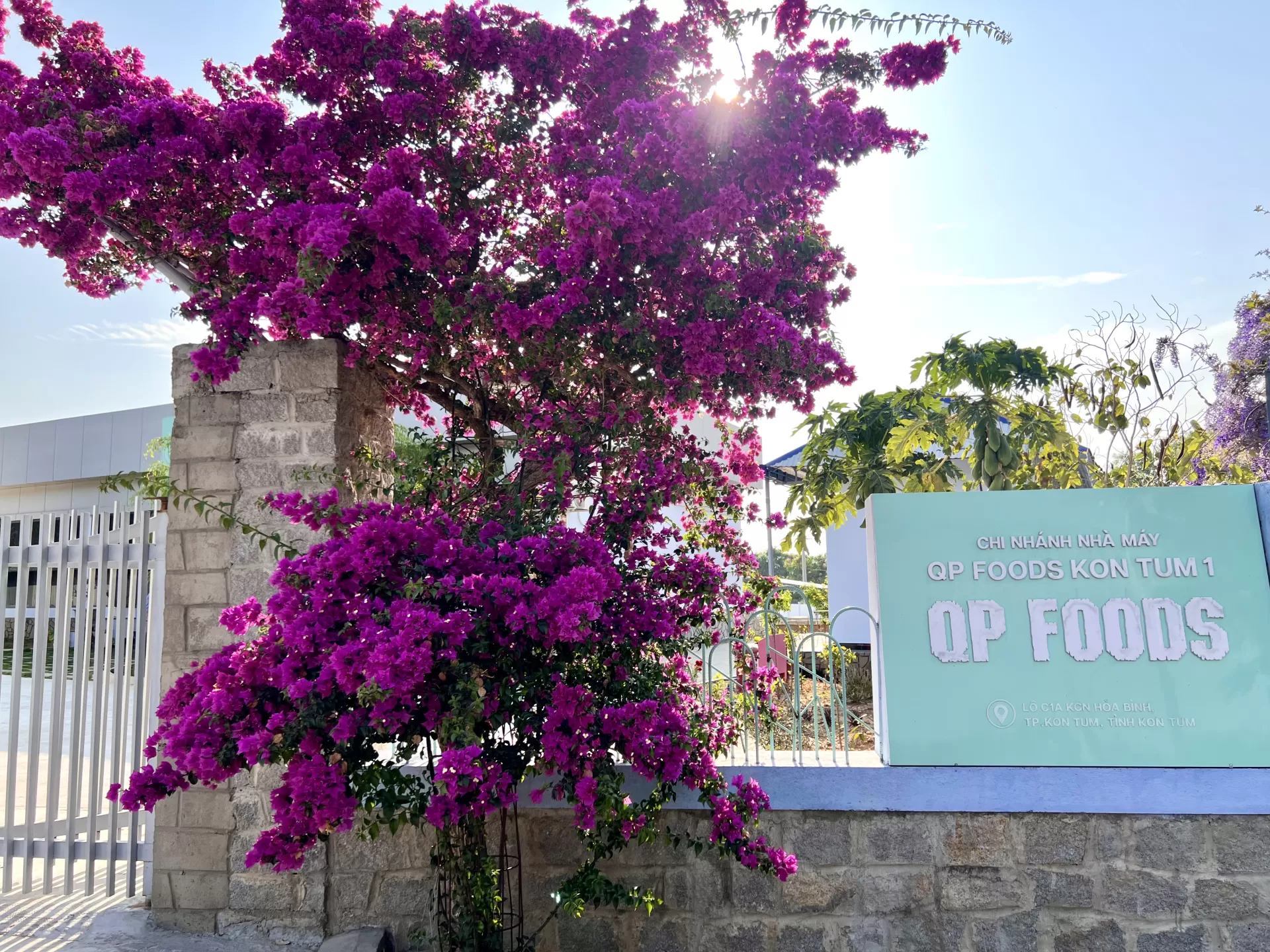 Dự án xây dựng nhà máy QP FOODS Khu Công nghiệp Hòa Bình, Kon Tum (Quảng Ngãi)