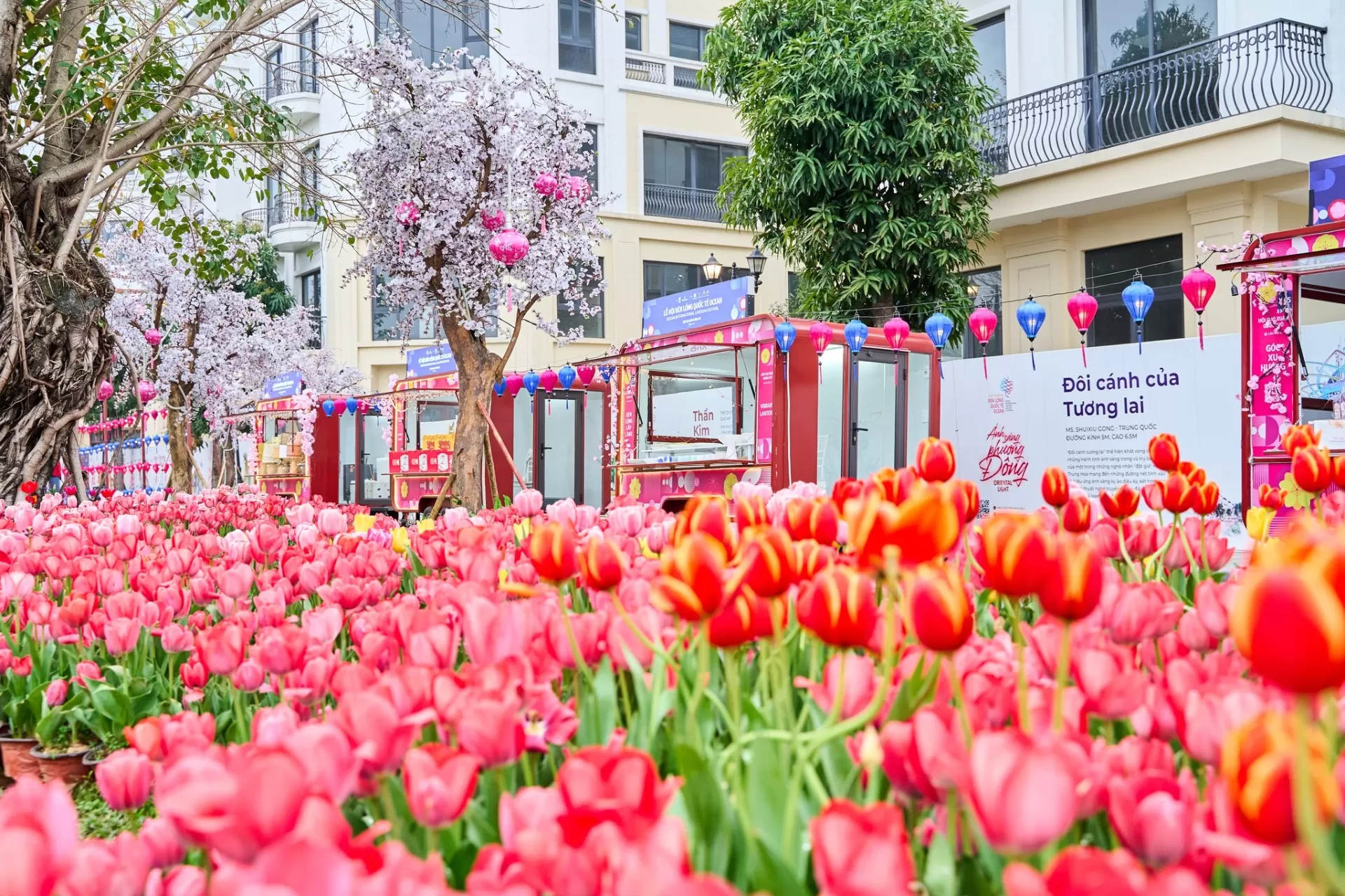 Hội chợ Xuân Giảng Võ 2025