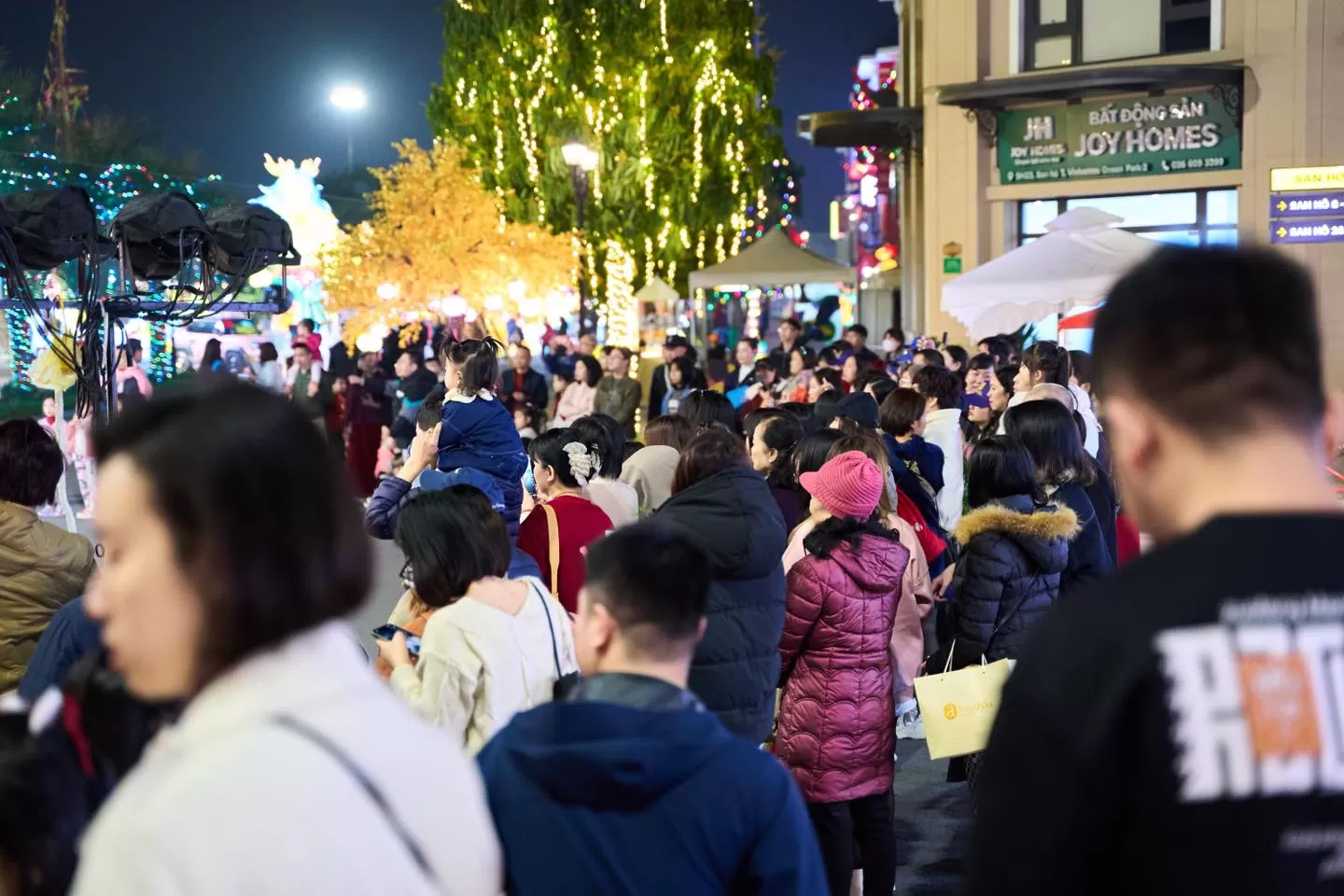 Hội chợ Xuân Giảng Võ 2025